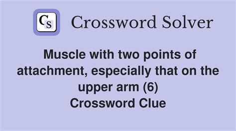 upper arm muscle crossword clue